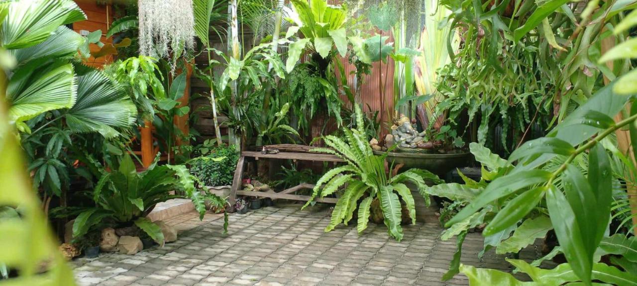 Ouychai Resort Home Stay شيانغ ماي المظهر الخارجي الصورة