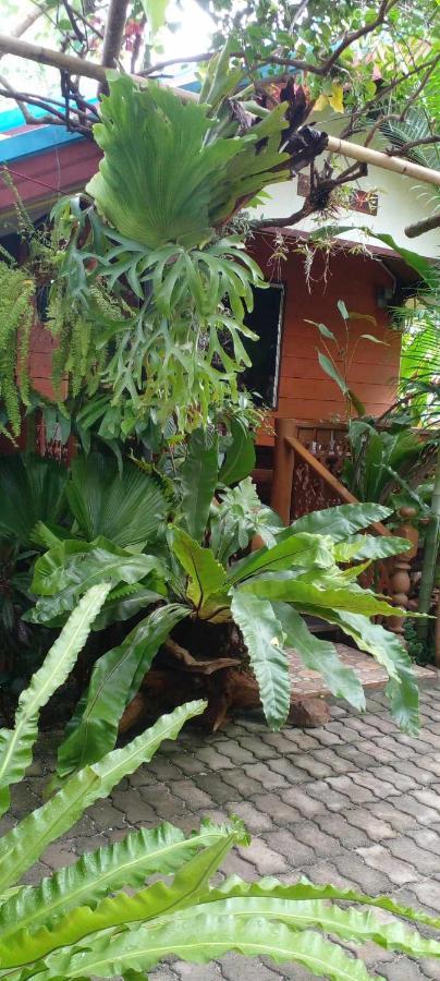 Ouychai Resort Home Stay شيانغ ماي المظهر الخارجي الصورة